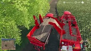 FS19 Timelapse MVP19 MAP FS19_BeetHarvest_Addon  Episode #9