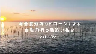 海苔養殖場のドローンによる自動飛行の鴨追い払い