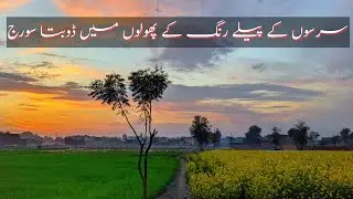 A Beautiful Evening in Village | Village life | asadkagaon | Rahim yar khan