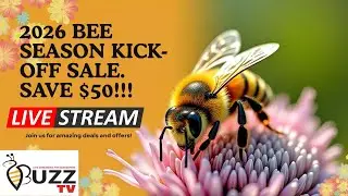 2026 BEE SEASON 🐝 KICK-OFF SALE 🐝  SAVE $50!!!