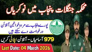 Punjab Forest Department Jobs 2026 | How To Apply For Inspector & Forest Ranger