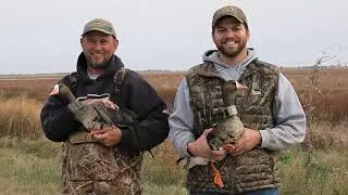 Tracking the movements of Greater White-fronted Geese at Cheyenne Bottoms