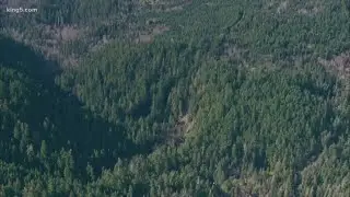 Woman found murdered in Clallam County