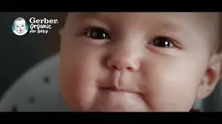 Gerber Organic