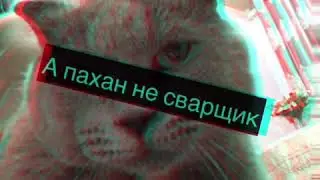 Бук😂❤️