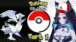 Part 1 ○ PokeMarathon: Black Version ○ Fufu