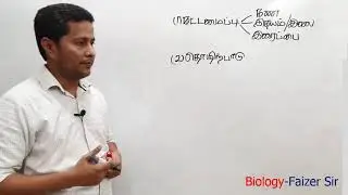 PromoVideo-01