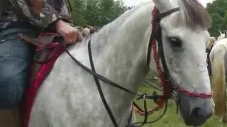 Spancil Hill Horse Fair;2016