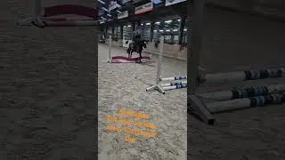 springles #springles #springpony #springen #jumpen #ponypower #paardrijden #paarden