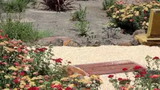 Black Stallion Winery | Insectary