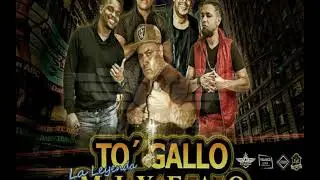 Megamix Ashley (Arauco 98) / To Gallo Mixeao-La Leyenda