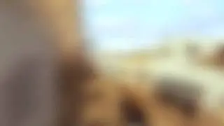 reflex shotad :D