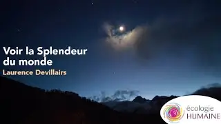Voir la Splendeur du monde - Laurence Devillairs