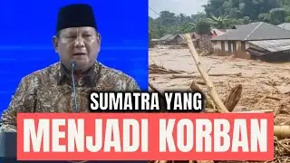 akibat jangan takut deforestasi 💀