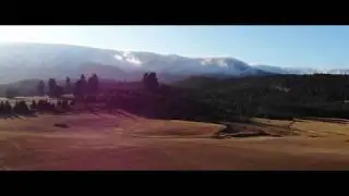 Camas Valley Fog