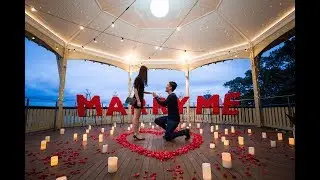 Beautiful Proposal Under The Stars I My Proposal Co.