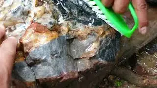 Petrified wood stone cleaning.