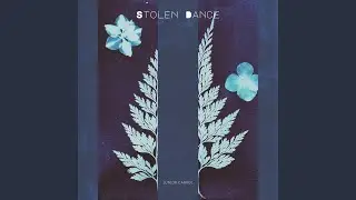 Stolen Dance