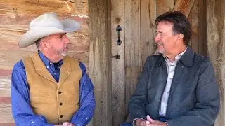 Understanding Equine Digestion