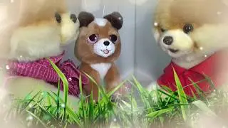 Joe Returns - Squishy ball Surprise! Lisa Performs - Funny Jo yo