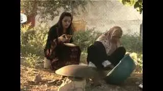 ديرتنا الاردنية - الشونة الشمالية 1