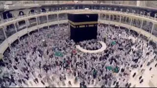 Haram me hazir hn #kaaba #kibla #kahba #makkahmadinah #naat #haram #islamicvideo #powerofislam #fyp