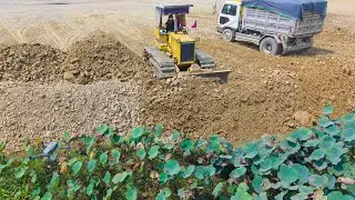 mall Dozer, Big Job: Incredible Pond Clearing with 5-Ton Dump Truck Support