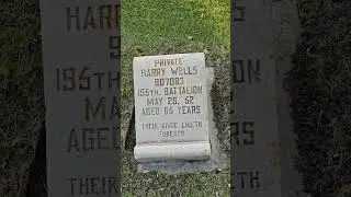 Private Harry Wells 907083 195 TH Battalion May 26, 1952 Aged 65 Years