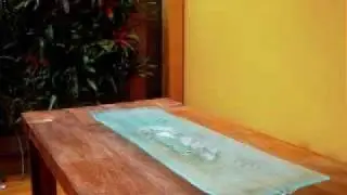 Vitreria