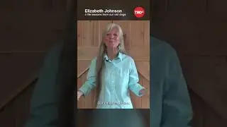4 life lessons from our old dogs - Elizabeth Johnson #shorts #tedx