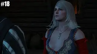 Collecting Helper in Novigrad & Killed a Friend !! | The Witcher 3: Wild Hunt | #18