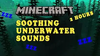 2 HOURS OF UNDERWATER SOUNDS IN MINECRAFT: To Help Sleep, Relax, Study, and Reduce Stress
