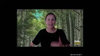 Louie Lessons: Race and Ethnic Relations with Professor Kunze