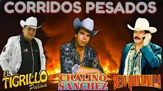 Chalino Sanchez, Beto Quintanilla y Tigrillo Palma Mix Para Pistear - Corridos Pesados Mix