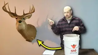 Homemade Salt and Mineral Lick for Deer, Elk and Moose
