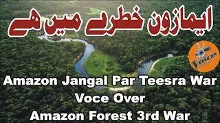 Amazon jangal par teesra war  -  Amazon khatre me hai -  Amazon forest 3rd war -  Voce over