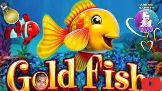 Fishes at my friend farmhouse swimming pool 5 years old farmhouse fishes alive in pool without food