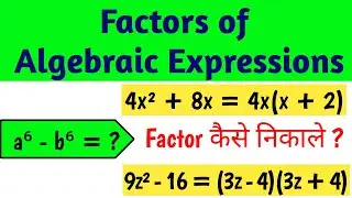 Factors of Algebraic Expression | Factors कैसे निकालते हैं ? | Factoring Algebra