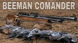 Caza y Cocina de Palomas con Rifle De Aire || Beeman Comander