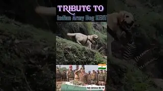 Tribute Video to indian army Sniffer Dog Kent 🇮🇳💐|Shaheed in Rajouri|⚔️21 Rashtriya Rifles⚔️ #shorts