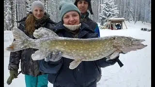 Королевская рыбалка