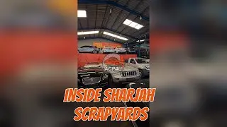 Hunting Car Parts in Sharjah: This Place Is Unreal!