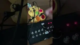 Revisiting Custom Sequencer from Screwed Circuitz