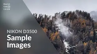 Nikon D3500 Sample Images With Camera Settings in photography