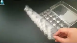 Qiming Packaging Patent Clear 24 Hole 3 Pieces Plastic Quail Egg Trays Cartons