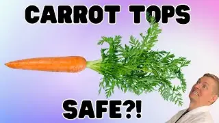Can You Eat Carrot Tops? Food Safety Dad