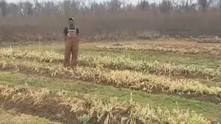 Massive crop losses after historic winter storm
