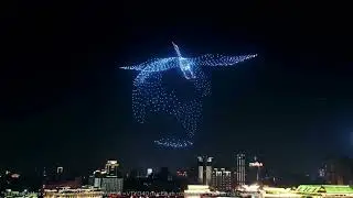 Відеопрезентація стартапу FDrones для Українського фонду стартапів