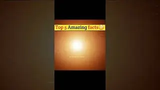 top 5 amazing facts in hindi | mind blowing facts | random facts | facts in hindi | #shorts