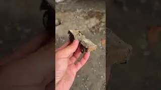 Игрушки и монеты забыты под старым зданием школы!